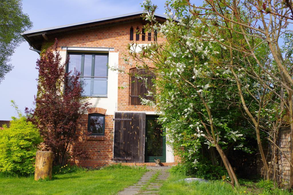 Haus am See in Kleinzerlang Zimmer foto